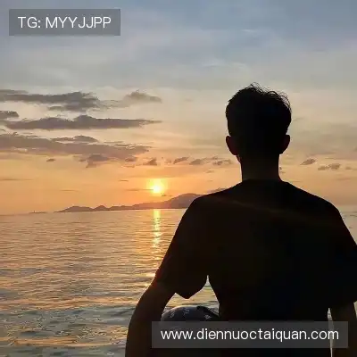 苗赛想